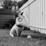 Frankenweenie, película animación Tim Burton